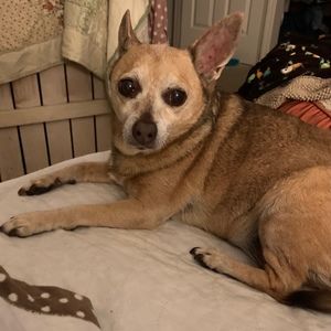 Meet your Posher, Debi